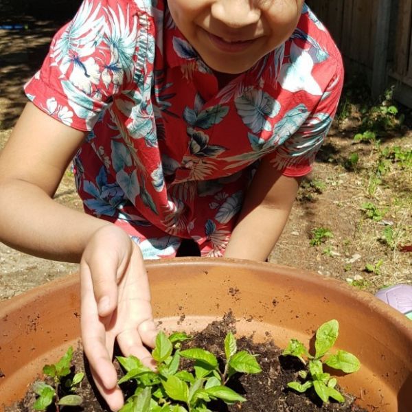 Robeel Busy Gardening